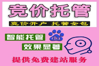 百度推广的精准营销案例解析